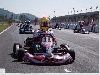 Electric Go Kart